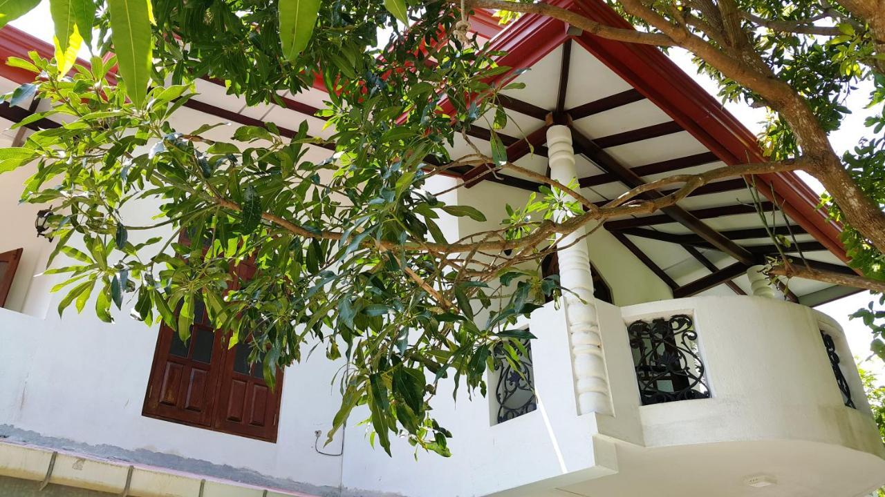 New Chili Lodge Mirissa Bagian luar foto