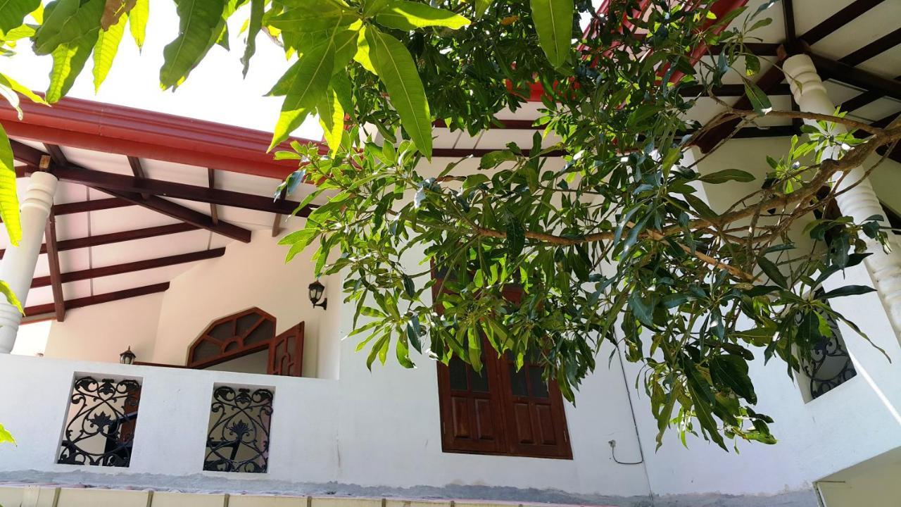 New Chili Lodge Mirissa Bagian luar foto