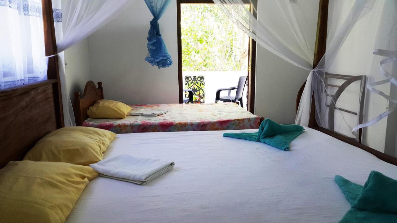 New Chili Lodge Mirissa Bagian luar foto